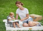 Baby Portable Booster Chair - Image 6