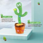 DANCING CACTUS - Image 4