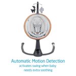 Multifunction Swing - Image 2